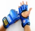 Găng tay đấm bốc Nửa ngón tay Người lớn Sanda chiến đấu võ thuật Taekwondo đấm bốc Sandbag đấm bốc bộ nam Taekwondo / Võ thuật / Chiến đấu