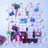 Фотостена Iron Art Grid сетка фото цветочная стена DIY Девушка Сердце фото украшение стены общежития украшение комнаты