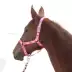 Cưỡi ngựa thể thao ngựa dây cương dệt dây ngựa dẫn huỳnh quang màu xanh lá cây ngựa được trang bị với tám chân rồng ngựa yên ngựa minecraft Môn thể thao cưỡi ngựa