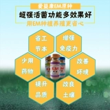 Посадка посадки водных эм бактерий Оригинальная самопроизвольная эм -бактерия