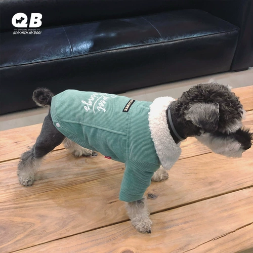 QB Schnauzer Teddy Fightdy Dog and Cat Clate