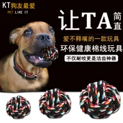 Pet puppy dog ​​toy ball vocal mol cắn đào tạo Teddy gấu con chó con mèo đồ chơi vật nuôi - Mèo / Chó Đồ chơi