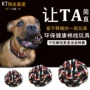 Pet puppy dog ​​toy ball vocal mol cắn đào tạo Teddy gấu con chó con mèo đồ chơi vật nuôi - Mèo / Chó Đồ chơi chuột đồ chơi cho mèo