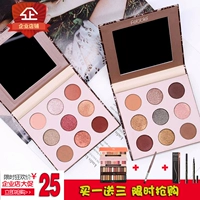 Bảng phấn mắt FEBBLE 9 màu Pearlescent Matte Earth Color Coffee Color Pumpkin Color Gold Brown Wine Red Polarized Wet Powder bảng màu mắt colourpop