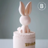 Biteologyhi Bunnyc190 Круп Девиц Кейт Пекин Шанхай Тонгхенг доставка