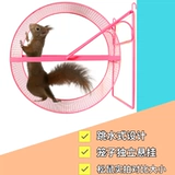 Взрыв небольшие медовые мешки, тоторотальная голландская свиная свинина