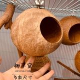 Медоносные сумки, висящие крысы летающие крыса, висящие птицы, гнездо кокосовые гнездовые домашние животные большой дом, антибитовое деревянное гнездо