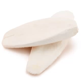 Медовые сумки, белка хомяка, грызуна, кость каракули