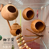 Медоносные сумки, висящие крысы летающие крыса, висящие птицы, гнездо кокосовые гнездовые домашние животные большой дом, антибитовое деревянное гнездо