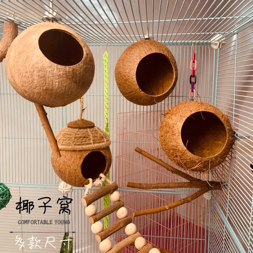 Медоносные сумки, висящие крысы летающие крыса, висящие птицы, гнездо кокосовые гнездовые домашние животные большой дом, антибитовое деревянное гнездо