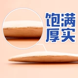 Медовые сумки, белка хомяка, грызуна, кость каракули