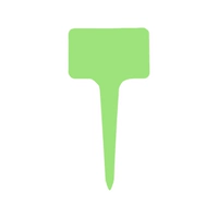 100 фотографий светло -зеленого