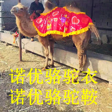 седло 骆驼衣服 骆驼加棉衣服 骆驼鞍子出售骆驼防嗮衣