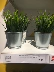Điểm nhỏ Ninh Ba IKEA mua trong nước và trang trí chậu hoa mô phỏng chậu hoa nhỏ bằng sắt lưu trữ thùng bình - Vase / Bồn hoa & Kệ Vase / Bồn hoa & Kệ
