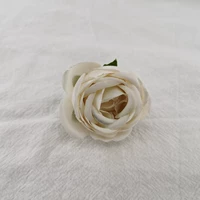 Абрикосовое шампанское