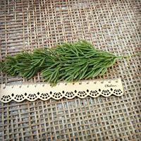 Мягкий клей зеленая сосна