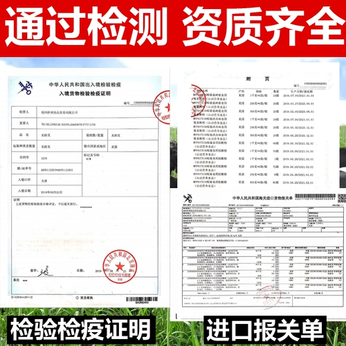 Мидпротеин панда виральный белок порошок 1 кг мышечной мышцы мышечной мышцы мышцы мышцы мышцы мышцы мышцы 2,2 фунта мужчин и женщин