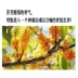 Nước hoa Osmanthus chính hãng lâu dài 100% nguyên chất hương thơm ngọt ngào osmanthus hương thơm nhẹ kéo dài Guilin Jingui nữ thơm bốn tuổi Gui Jingui - Nước hoa nước hoa gucci nam Nước hoa