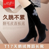 Туфли, эластичный лебедь, танцующие демисезонные сапоги, средней длины, мягкая подошва