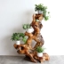 Tất cả các gốc gỗ rắn khung khắc tự nhiên hình dạng gốc cây bonsai khung ban công phòng khách tự nhiên gỗ gốc nghệ thuật trang trí sàn - Các món ăn khao khát gốc Các món ăn khao khát gốc