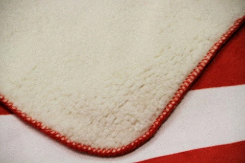 Современная простыня, коралловое одеяло, простой и элегантный дизайн