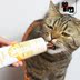 Earth Cat Pet Đức GIMPET Junbao Kem dinh dưỡng Multi-vitamin Không đường 50g Chăm sóc sức khỏe cho mèo - Cat / Dog Health bổ sung Sữa dành cho chó trưởng thành Cat / Dog Health bổ sung