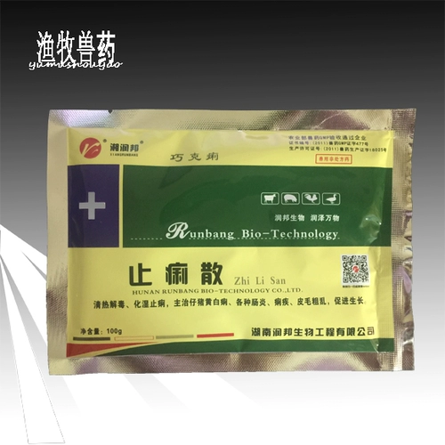 Звери, свиньи дюазан санда, анти -экологически чистая свиная свинина, свинья Свинька с курицей