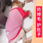Dog dress up trang phục Hài hước dễ thương Samoyed mùa hè chó lớn trung bình chó lớn mùa hè mỏng phần - Quần áo & phụ kiện thú cưng