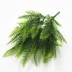 Hoa nhựa mô phỏng cây dương xỉ xanh trồng hoa phù hợp với cỏ mô phỏng Cây dương xỉ Ba Tư - Hoa nhân tạo / Cây / Trái cây