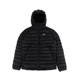 Arcteryx/The Amazing Bird's Men's Menship Theme Warmed Plel Cerium Lt Hoody 18013