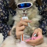 Космические солнцезащитные очки, кукла, аксессуар, домашний питомец, кошки и собаки