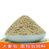 Свежая пшеница Бран -варварские хлебные червь кормить отруби -дибийские вишневые тараканы продукты питания.