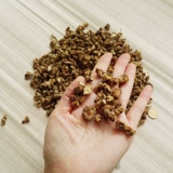 Северо -восток гора Чангбай Гинзенк Лушэн Лаосон Королевский женьшень Руси Гинзенс Лу Главный корейский женьшень Луту Суп 100G Бесплатная доставка