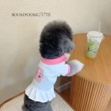 /Breaking Little Mite/Little Mitt Dog of Cightergarten, чтобы стать маленькой юбкой Pet York Pet York Show