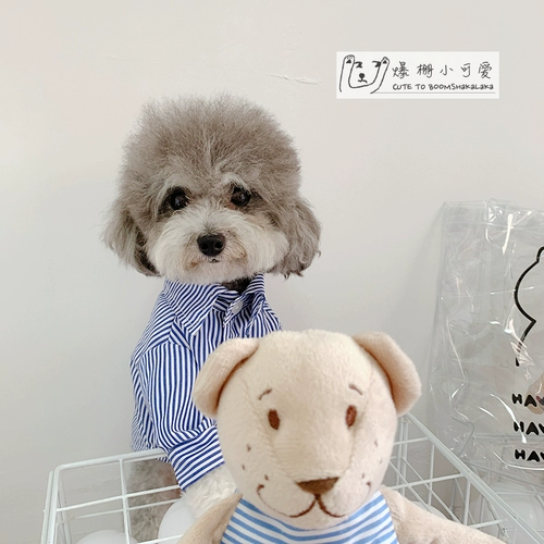 Бесплатная доставка популярная базовая рубашка Sherry Basic Love Teddy Teddy Bie Junjie Dog and Dog Cat Одежда