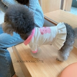 /Breaking Little Mite/Little Mitt Dog of Cightergarten, чтобы стать маленькой юбкой Pet York Pet York Show