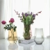 Bình thủy tinh đơn giản châu Âu dày trang trí nhà hoa hoa sáng tạo thiết bị mềm tươi và hiện đại - Vase / Bồn hoa & Kệ