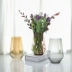 Bình thủy tinh đơn giản châu Âu dày trang trí nhà hoa hoa sáng tạo thiết bị mềm tươi và hiện đại - Vase / Bồn hoa & Kệ Vase / Bồn hoa & Kệ