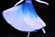 Mới Nội Mông Cổ thiên nga ngỗng biểu diễn múa trang phục nữ thiểu số gió trưởng thành thử nghiệm nghệ thuật trang phục váy phù hợp với