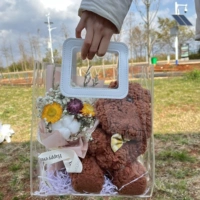 Кристаллическая сумка хими