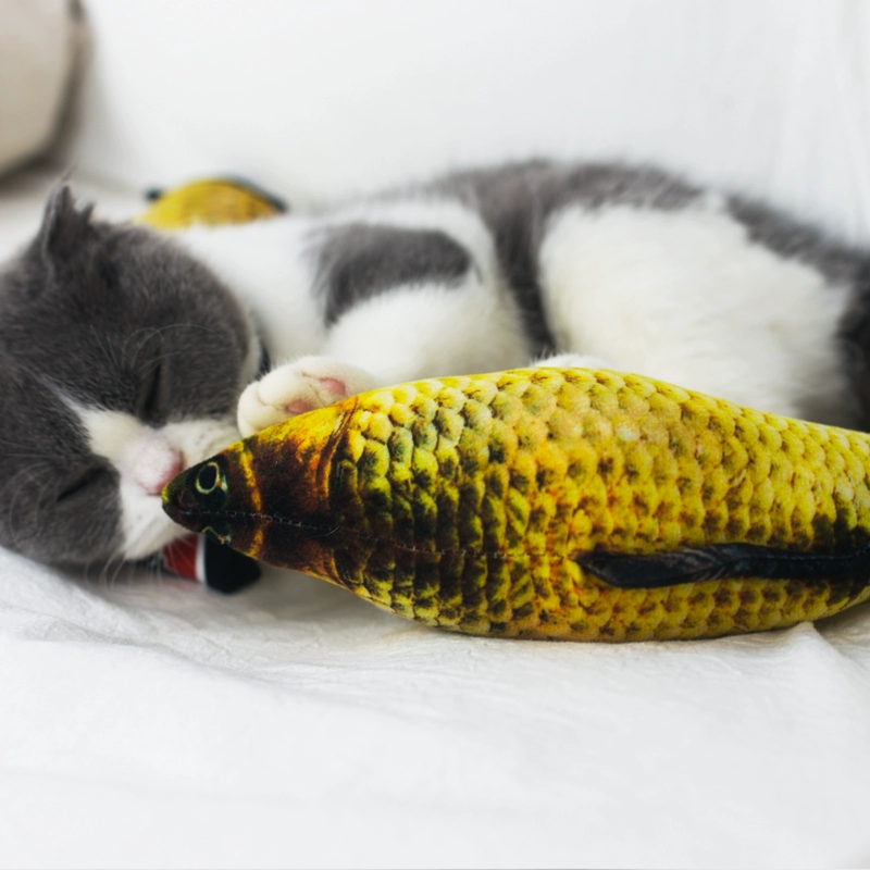 Nhà Jane mèo đồ chơi mô phỏng cỏ cá chép cá chép vật nuôi mèo đồ chơi mèo bạc hà vui mèo đồ chơi mèo cung cấp - Mèo / Chó Đồ chơi