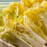 Яичный желток Большой семена капусты со средним средним дивизией Хуансин капуста четыре сезона четыре сезона быстрые быстрые семена Кайпана Вкусные анти -диссуазы с высоким уровнем