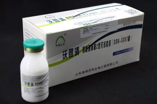 Вакцина против свиньи/Volo круглый вирус 2 судьба вакцина/вирус свиньи вирусы Vallean/Pig/20 Top/