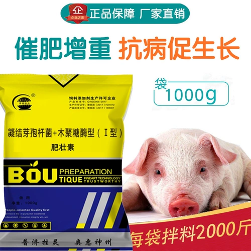 Жирная Zhuangxu Pig