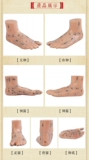 Акупунтная модель Meridian Meridian Model Foot, массаж купания, иглоукалывание, иглоукалывание модели стопы