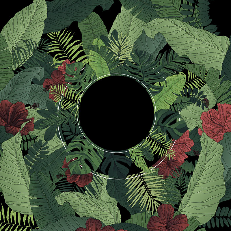 热带雨林丛林植物花草树木手绘水彩剪贴画插画PNG免扣AI设计素材
