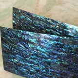 Новозеландская синяя пурпурная раковина раковина бумага.