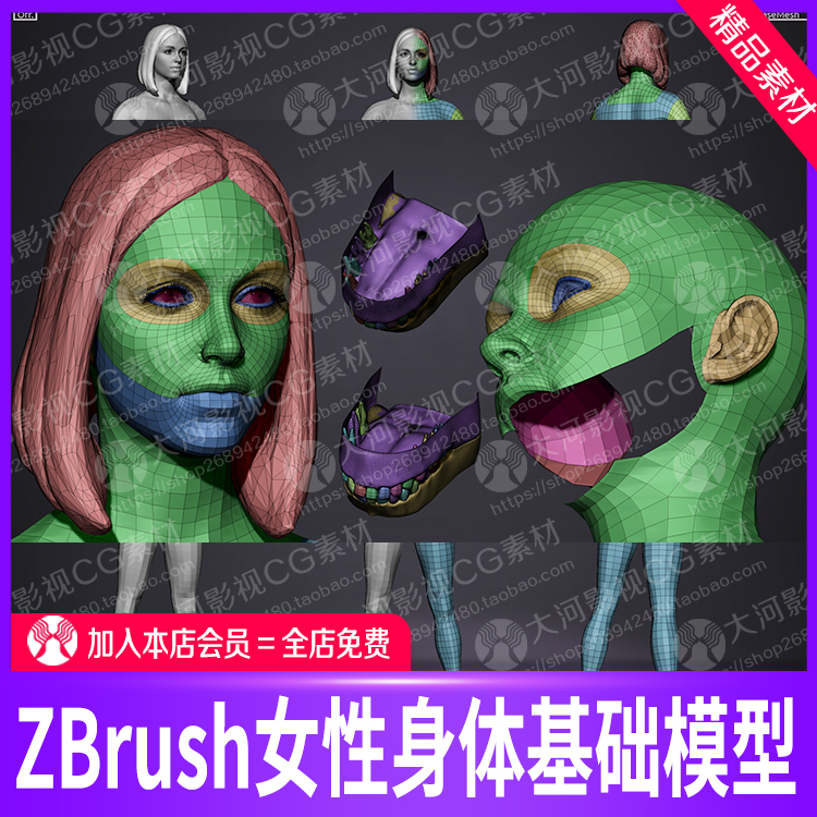 ZBRUSH female body head and feet basic model ZB female ZB carved ztl