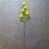 Hoa lụa nhựa cắm hoa hàng rào hoa nhân tạo mô phỏng hoa đặt phòng khách trang trí nội thất trang trí đồ trang trí hạt cải dầu - Hoa nhân tạo / Cây / Trái cây