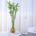 Thủ công mỹ nghệ chai thủy tinh màu xanh Mỹ bình nhỏ nhỏ phong phú tre lớn bó hoa nhà pha lê TV - Vase / Bồn hoa & Kệ Vase / Bồn hoa & Kệ